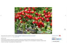 � ���� �������� ���� (+ 18 % ���. ����) = 59 ���. ����� �ݣ ������ 10% ����� � �������� (�.�. �������� ����� 53,10 ���.)