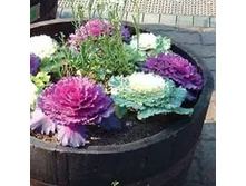 ������� ������������ ��������� ���� ���. ����. ����� ������ �� ���������4.jpg