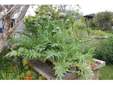 �������� � ������� �������.jpg