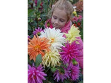 �������� ������� ������..jpg