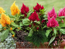 ������� ������, ����� ��������� ������ � �������2.jpg