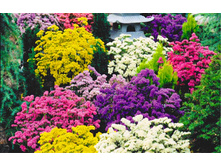 ������� ������������, �����3.jpg