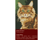 �-317 ����� ������ (��) 30�39 ���� 1100 ���.png