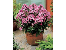 ����� �������� ��������2.jpg