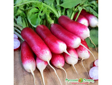 ����� F1 ����������� ������� 10 ���. (2 ��.).jpeg