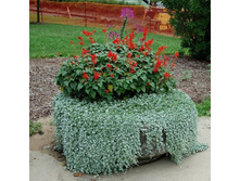 �������� ������� � �������, �����7.jpg