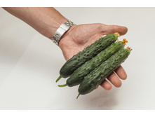 ������ ����̣��� 16 ���. (8 ��.).jpg