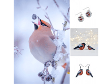 IMG 20180128 211759.png