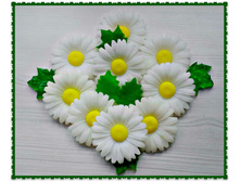 �������, ���� 45 ���