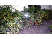 ����� �������� ���. ����2.jpg