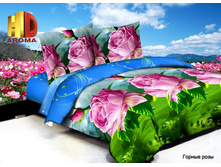 ������ ����.jpg