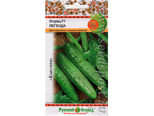 ������ ������� 12 ���. (10 ��.). �������.jpeg