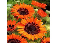 �������� ��������� ����� 2.jpg