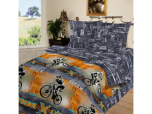 ������ ������ 220 ��