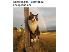 VLdpOJ2ubmQ.jpg