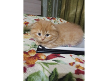 IMG 20180119 234541 HHT.jpg