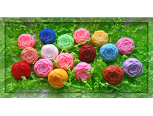 ����, 40 ���