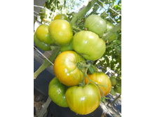 ����� ���������� ������ 10 ���. (0,1 ��.).jpeg