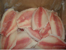 ���� �������