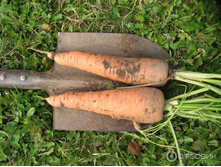 ������� ������� ������ ���. ����.jpeg