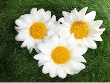 ������� �������