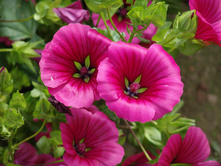 ������ ��������� ������� ������ ���������.jpg