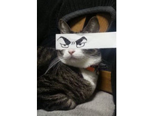 ��� � ���أ���� ��������