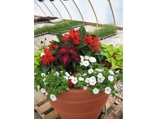 ������� ����� ���������� � �����2.jpg