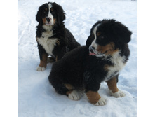 3 ������ 028.JPG