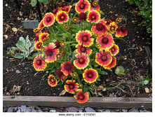 ���������� ������� ���4.jpg