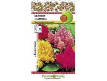 ������� ������, ����� 9,10 ���. (0,3 ��.).jpg