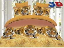 ������ 4759.jpg