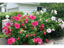 �������� ��. ����5. ����� ������ �� ���������.jpg