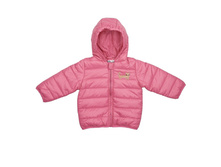 ������ Modis, 100 �� ����������. 80 ������