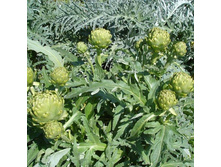 ������� ���ԣ� �������� ��� 2.jpg