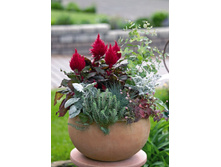 ������� ����� ��������� ���ԣ� � ������2.jpg