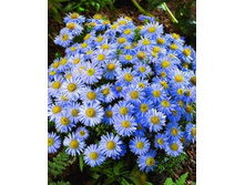 ����� ����������� ���� �� ��� �����. ����. ����� ������ �� ���������.jpeg