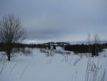 IMG 8285.jpg