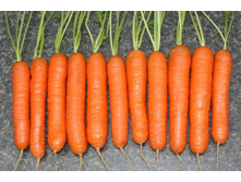 ������� �������� ���������� 11 ���. (2 ��.).jpg