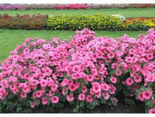 �������� ������� ����, �����3.jpg