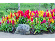 ������� ������, �����3.jpg