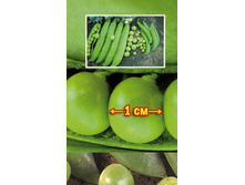 ����� ������� ������ ���. ����.jpg