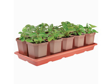 ����� ��� ������� �� 10������� (410�170�90) 83,54 ���.jpg