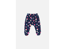 22254150011      -     .jpg