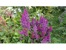 ���� �� ���