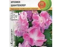 ������ ��������� 40 ���. (3 ��.).��� �����, ������ �� 2,5 ������