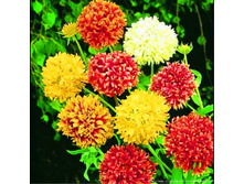 ��������� ������� �����.jpg