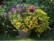 ���������� F1 �������4.jpg