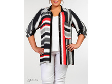 ������ 2704101-02.jpg