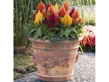 ������� ����� ��������� ���ԣ� � ������.jpg